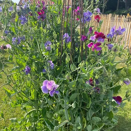 Farmens Gaestehus