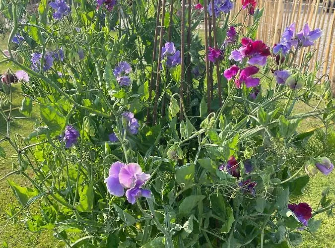 Farmens Gaestehus